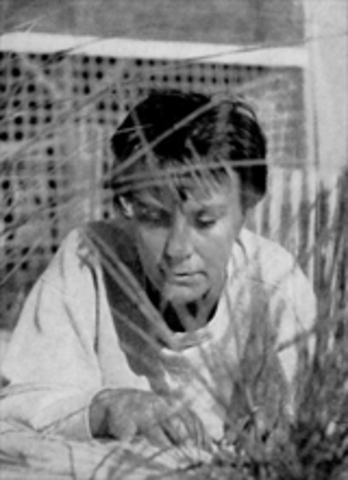 Lee Returns to Writing