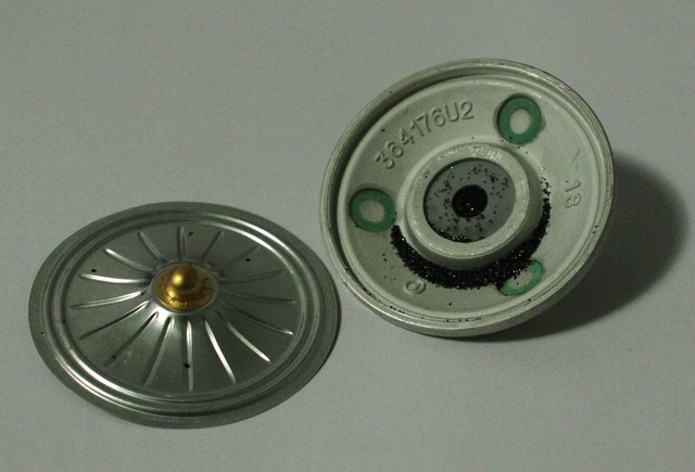 First Carbon Microphone