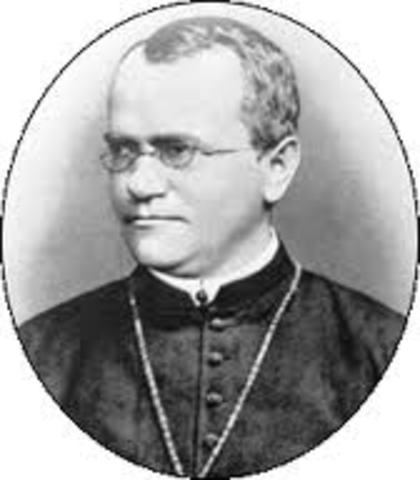 Mendel