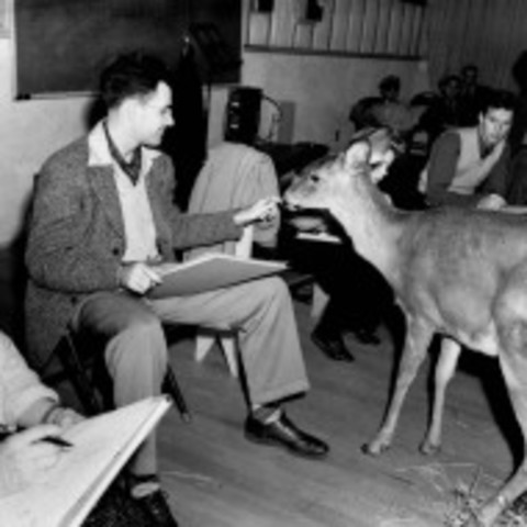 The world premiere of Bambi