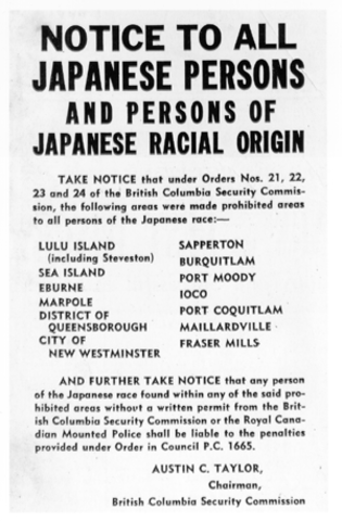 Japanese Internment Camps: Loyalty Tests