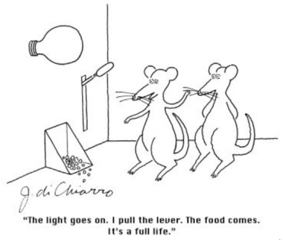 Operant Conditioning