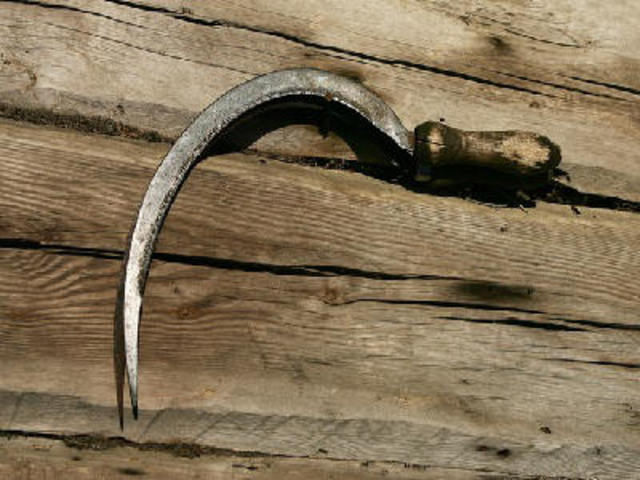 Learning to Find Murder Weapons