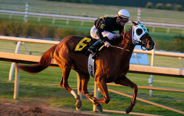 Origin of Motion Pictures