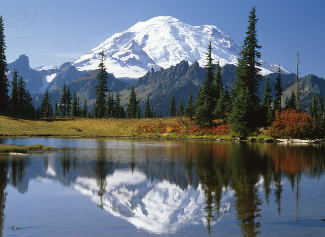 Mount Rainier Erupts