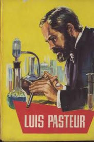 vacunacion contra la rabia