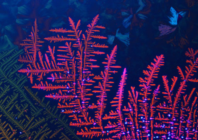 i was clinically diagnosed with mental illness