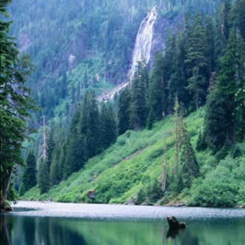 Humans Ozarks uplifted