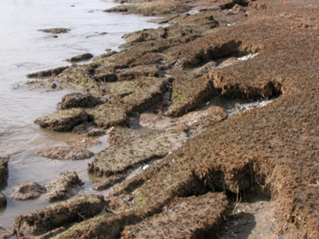 Ozarks eroded & covered repeatedly