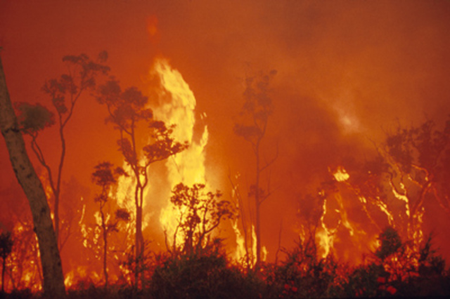 Fire in Autralia