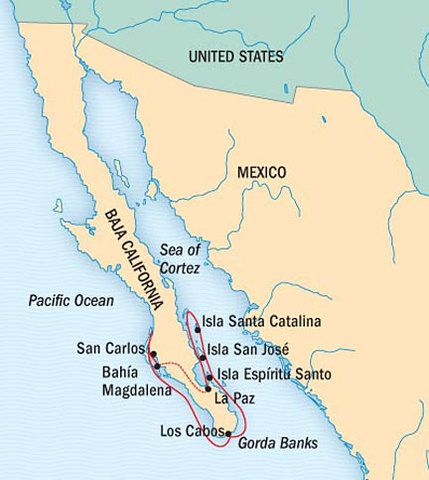 Cortes discovers the peninsula of California