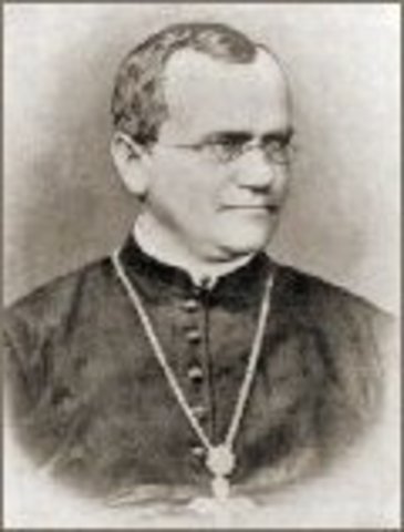 Gregor Mendel