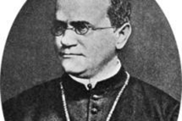 Gregor Mendel is born