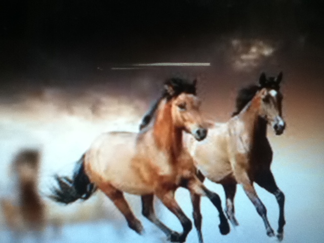 First film ever made