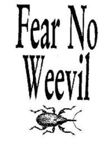 Boll Weevil