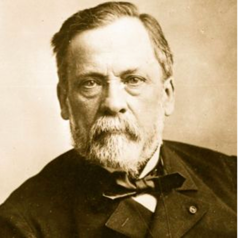 Pasteur