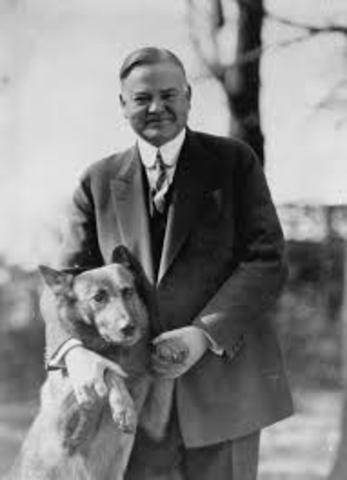 Herbert Hoover is elected U.S. president.