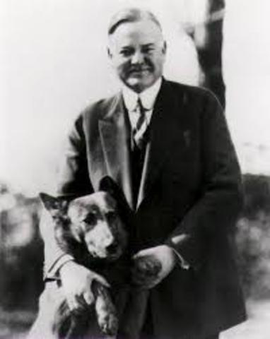 Herbert Hoover is elected U.S. president.