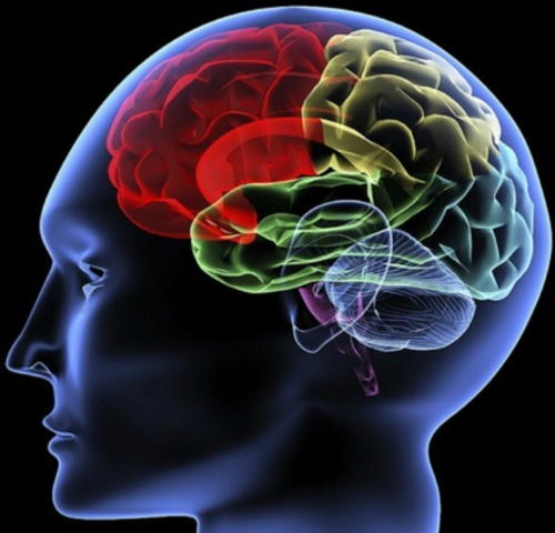 Ebbinghaus, Spearman, Pearson y Thurstone