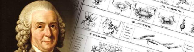 Nomenclatura de los microorganismos