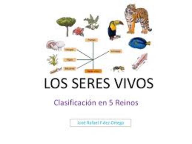 Clasificacion de los seres vivos en 5 reinos