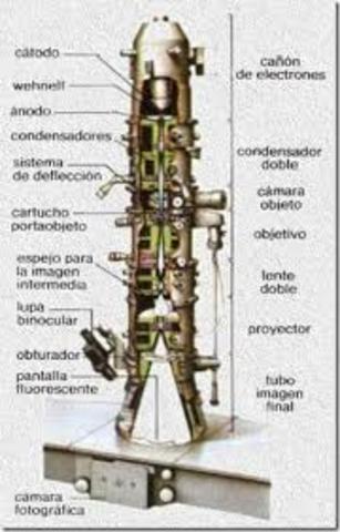 Microscopio electronico