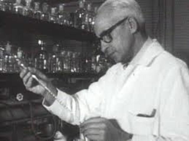 SEVERO OCHO ARN-POLIMERASA