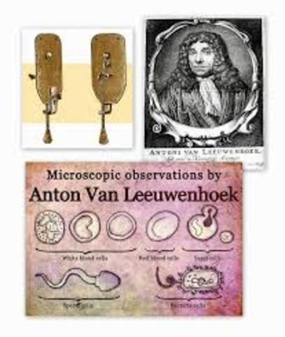 Antony van Leeuwenhoek (1632-1723)