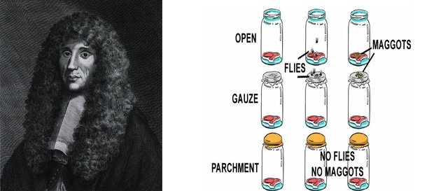 refutación de la teoría de la generación espontanea