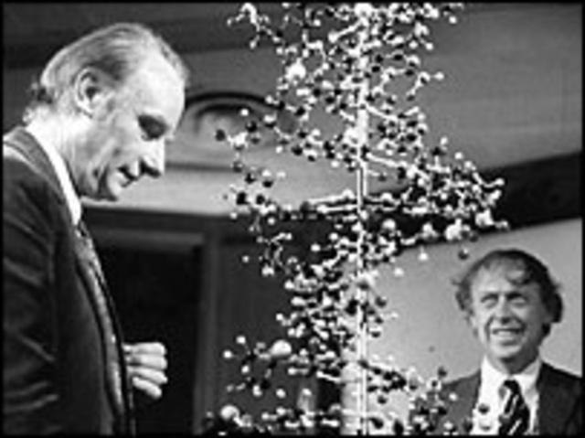 James Watson and Francis Crick
