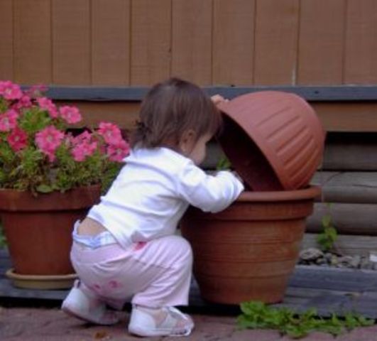 16 to 18 months physical development