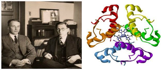 W. Gilbert y F. Sanger