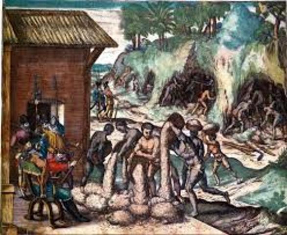 first slaves revolt in Hispanola