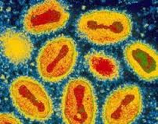 La primera vacunba contra la viruela