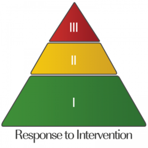 Individuals with Disabilities Education Improvement Act (IDEIA)