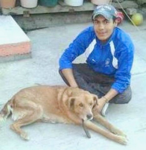 Desición muy difícil en mi vida, tuve que dormir a mi amigo perruno por cáncer