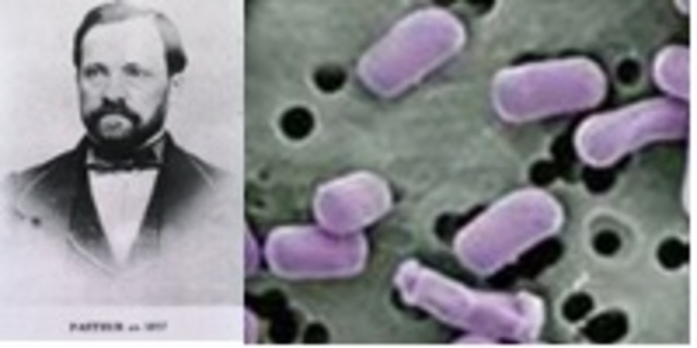 Louis Pasteur