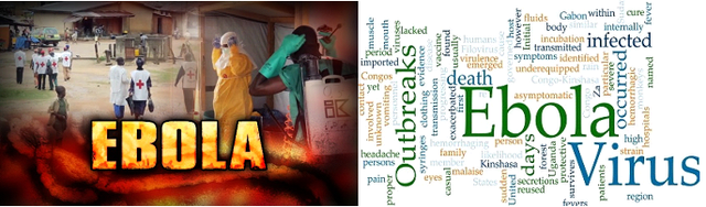 VIRUS DEL EBOLA