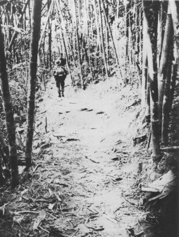 Ho Chi Minh trail begins being used