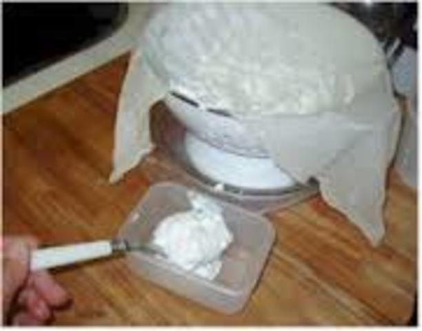 fermentacion lactica