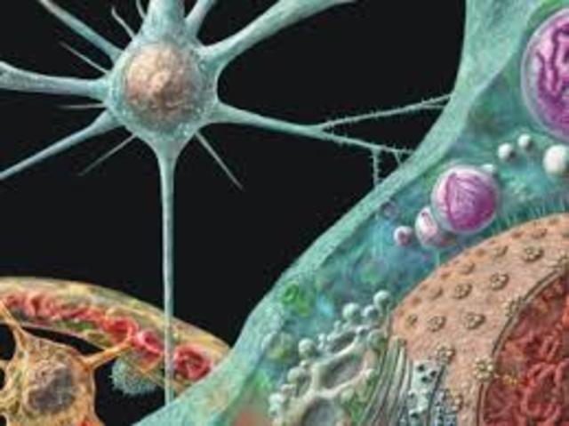 descubrimiento de nuevas entidades infectivas