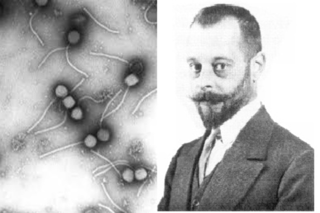 Frederick twort y Felix d'herelle