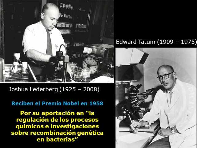 Edward Tatum y Joshua Lederberg