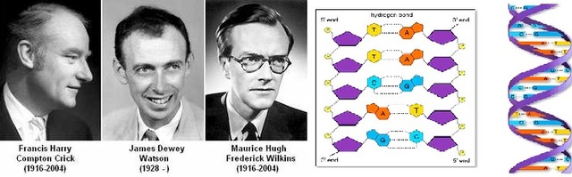 James Watson Francis Crick rosalind Franklin