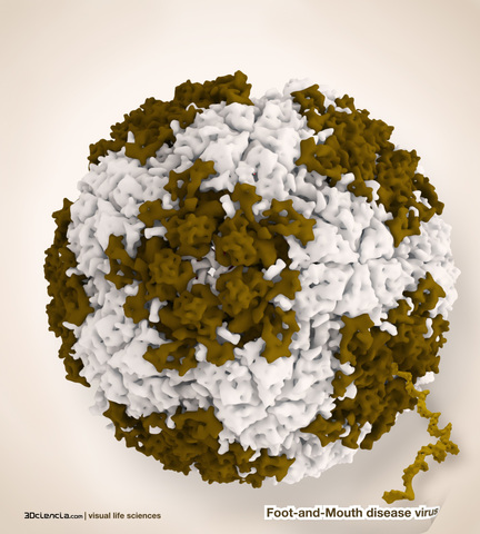 Friedrich Loeffler y F. Frosch