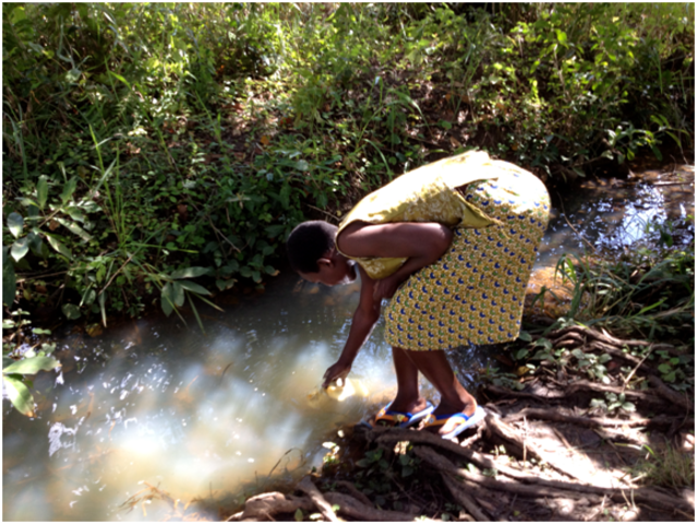 First Assessment Trip
