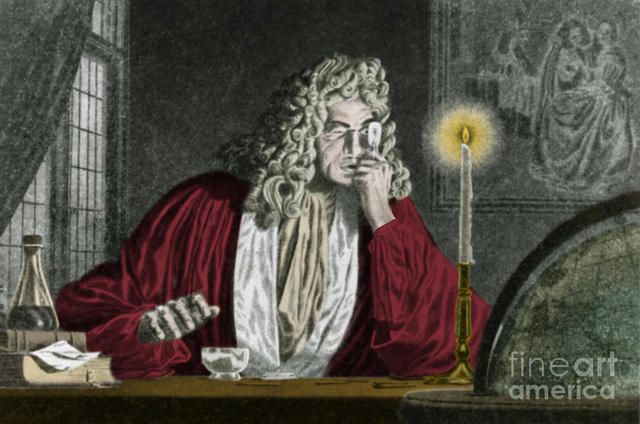Antón van Leeuwenhoek