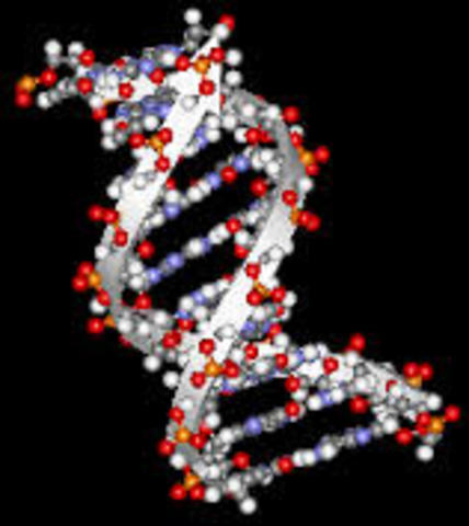Starting DNA Recognition