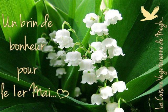 Le muguet du 1er mai