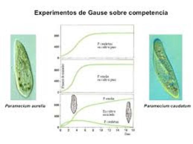 Georgii Frantsevich Gause